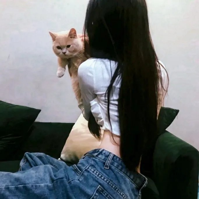 豪门怨灵